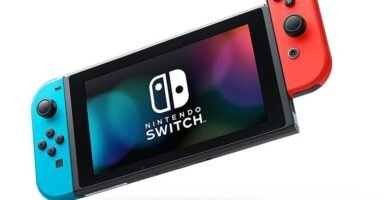 Bild des Bildschirms durch den Joycon der Nintendo-Konsole